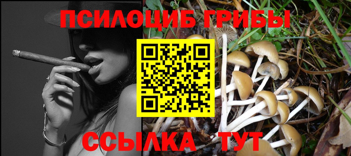 Ахтубинск  Галлюциногенные грибы Psilocybine cubensis  Вход с VPN 