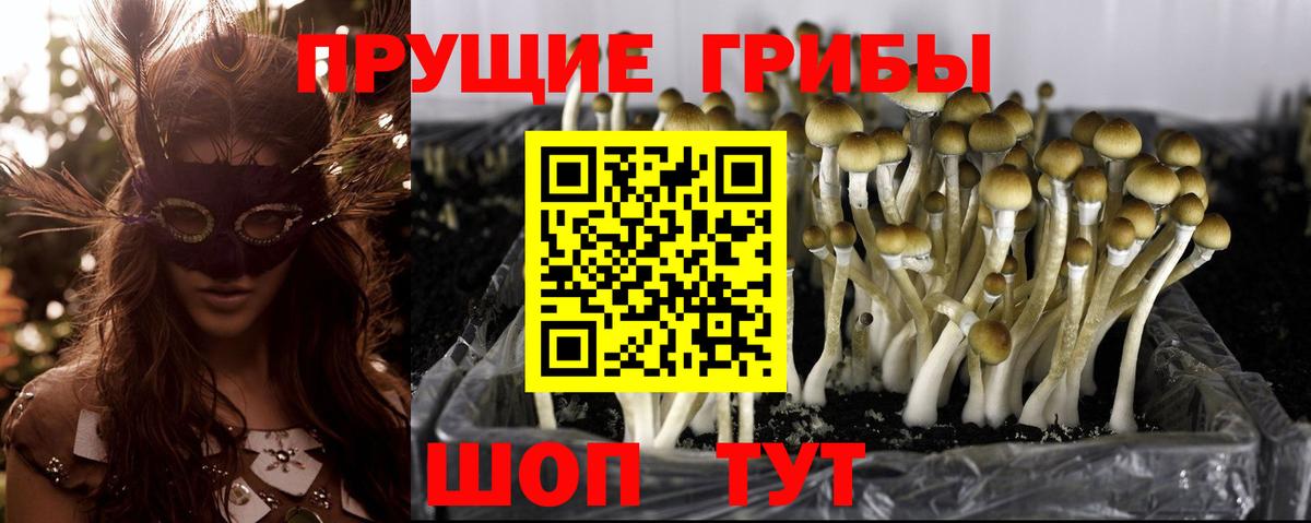 Галлюциногенные грибы MAGIC MUSHROOMS Ахтубинск